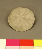 Click for more details.